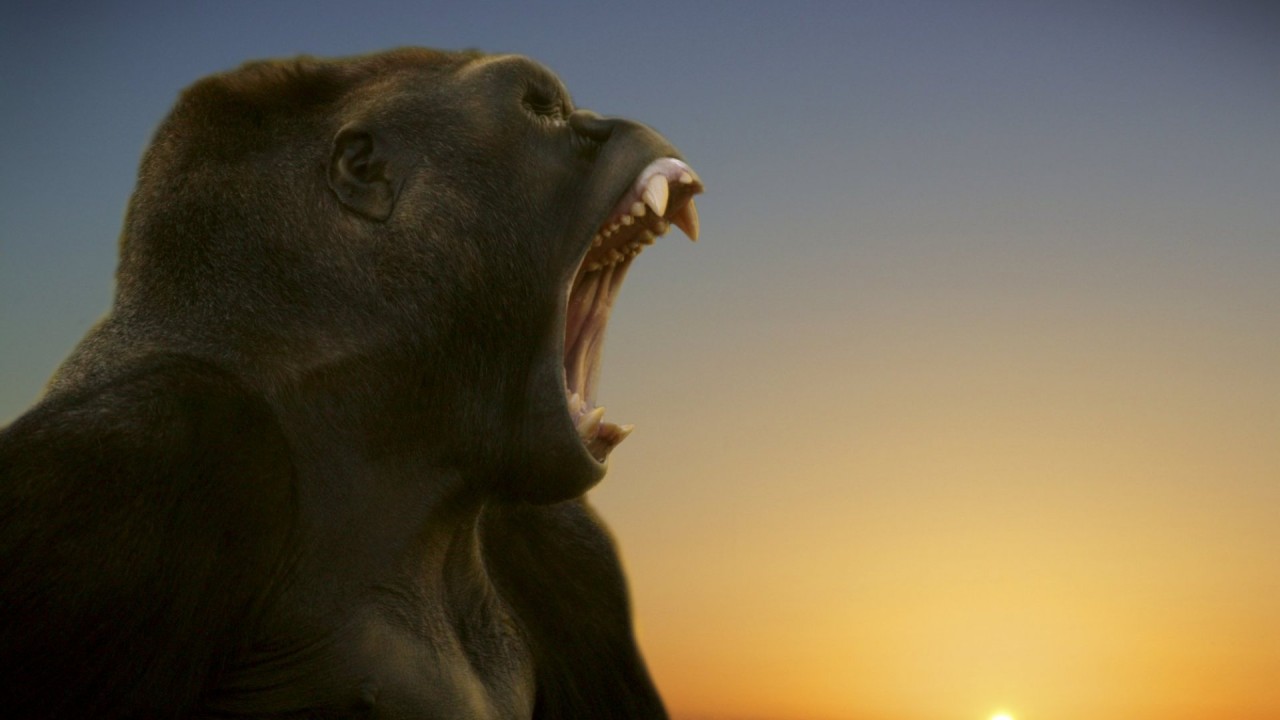 Act Now: Salesforce Fiscal Year End is January