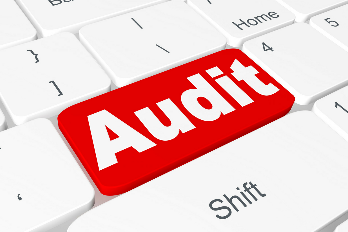 Know Your Software Audit Rights