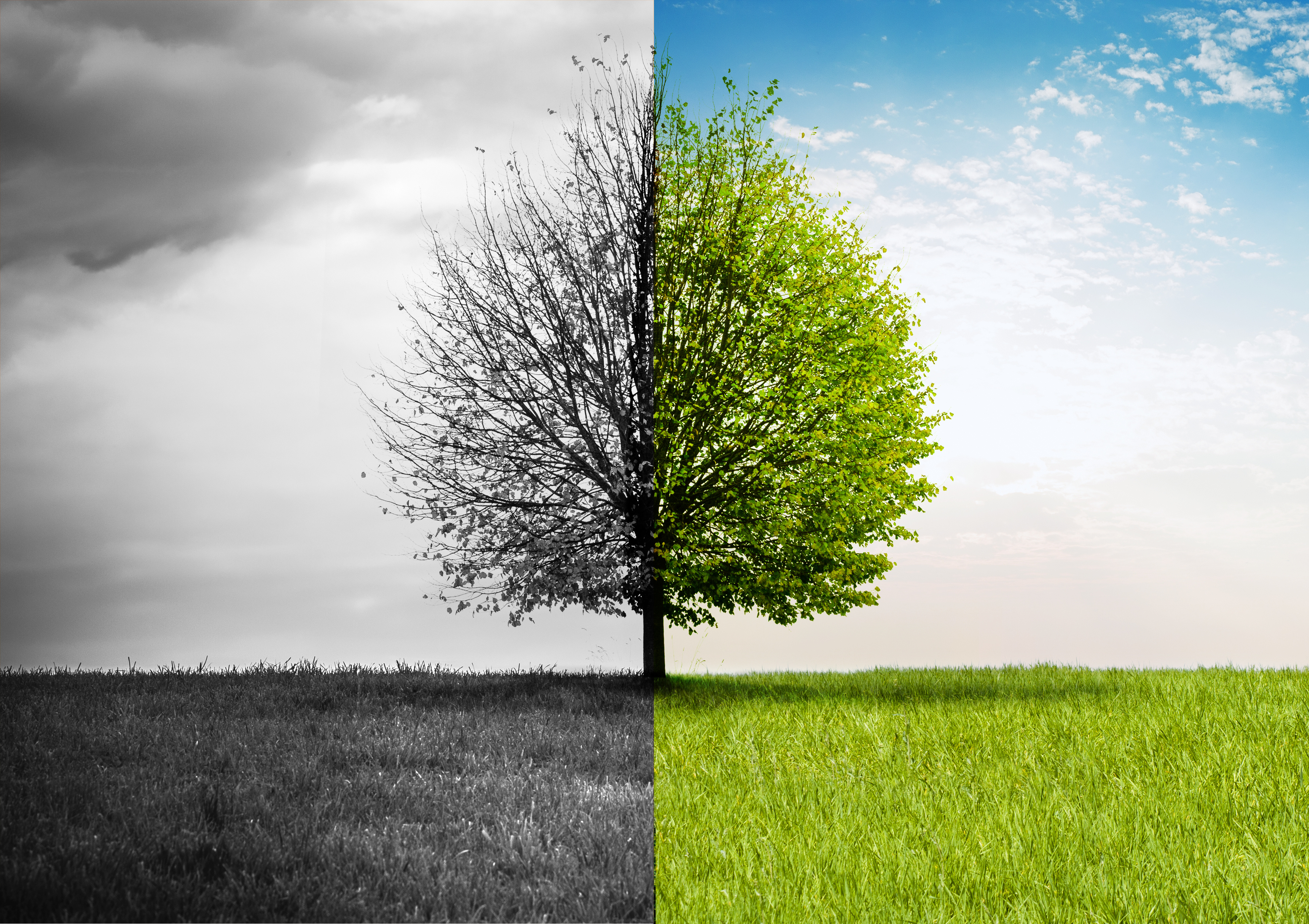 Oracle Series: Countdown of the Top Twelve (most egregious) Oracle Terms and Conditions, #8 License Exchange